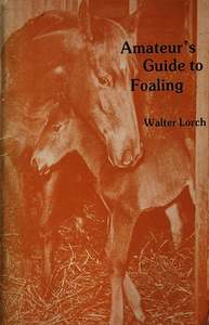 Amateur's Guide to Foaling