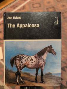 The Appaloosa