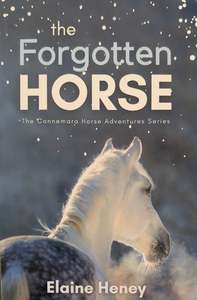 The forgotten horse