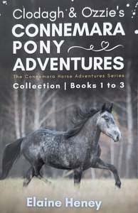 Clodagh & Ozzie's Connemara pony adventures