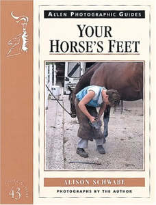 Your Horse's Feet
