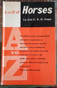A to Z Horses