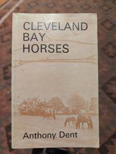 Out Of Stock: Cleveland Bay Horses