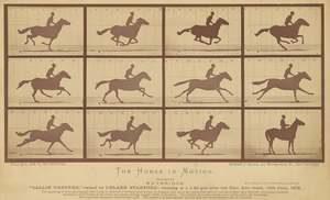 The Horse in Motion