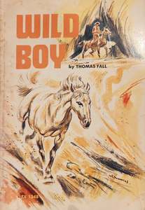 Vintage Childrens Books: Wild Boy