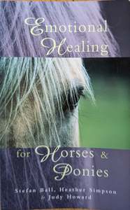 Alternative Therapies: Emotional Healing for Horses and Ponies