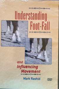 Biomechanics: Understanding Foot-Fall