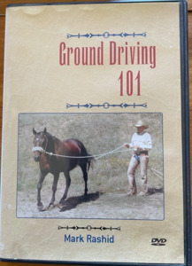 Breeding And Young Horses: Ground Driving 101