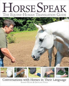 Horsemanship Equitation: Horse Speak