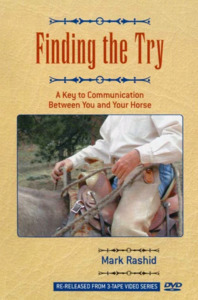 Horsemanship Equitation: Finding the Try