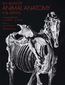 An Atlas of Animal Anatomy for Artists