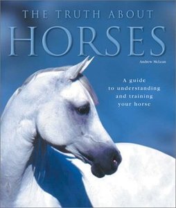 Horsemanship Equitation: The Truth about Horses