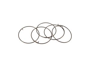 Wheel Components: Fulcrum Part 5-R1-015 pawl spring