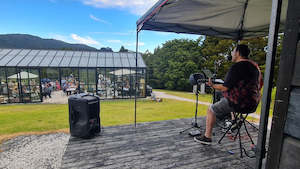 Te Whai Bay Wines - Music in the Vines (transportation)