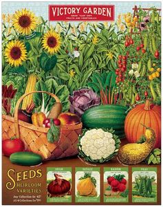 Games: Cavallini Victory Garden 1000 pce Puzzle