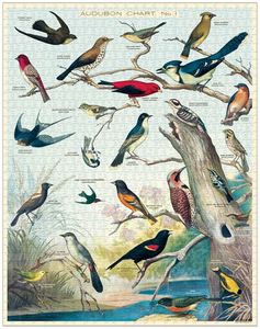 Games: Cavallini Birds 1000 pce Puzzle