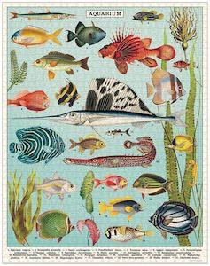 Cavallini Aquarium 1000 pce Puzzle