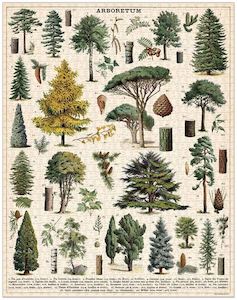 Cavallini Tree 1000 pce Puzzle