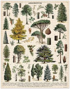 Games: Cavallini Tree 1000 pce Puzzle