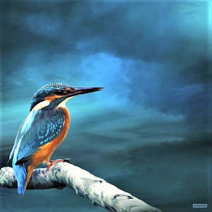 Kingi on Watch - Kingfisher