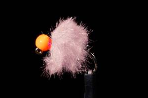 Nymphs 1: Jig Fritz Egg Prawn Fishing Fly | Manic Fly Collection