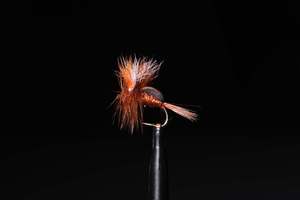 Manic Fly Collection Hyper Humpies: Hyper Humpy Brown Beetle Fishing Fly | Manic Fly Collection
