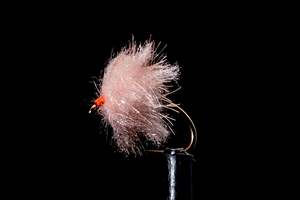 Manic Fly Collection: Fritz Egg Prawn Fishing Fly | Manic Fly Collection