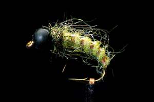 Manic Fly Collection: Flash Caddis - Green Slotted Tungsten Fishing Fly | Manic Fly Collection