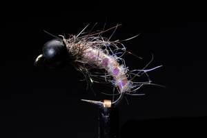 Manic Fly Collection: Flash Caddis - Cream Slotted Tungsten Fishing Fly | Manic Fly Collection