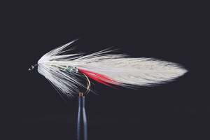 Classic Grey Ghost Fishing Fly | Manic Fly Collection