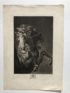 Products: Richard Earlomafter Anthony van DyckA Horse's Head1777 – Mariette Prints