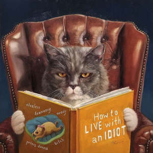 Image Vault Black Box Frame - Home Improvement