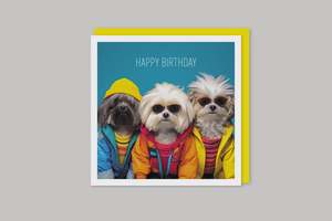 Image Gallery: Image Gallery Coola Coola Card - Shaggy Dogs Happy Birthday