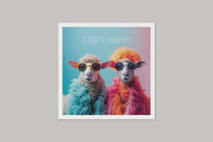 Image Gallery Coola Coola Card - Ewes