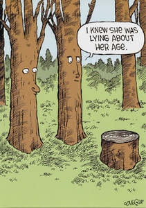 Image Gallery: Image Gallery Card - Lying about Her Age