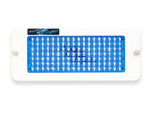 Products: Marine Night Lights Oblong