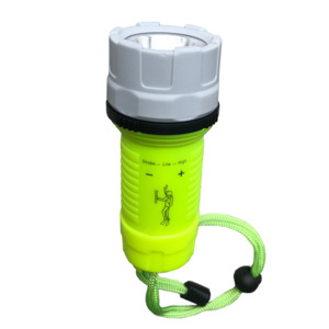 Camping Outdoors: Perfect Image Waterproof Floating Torch Mini 140 LUMENS