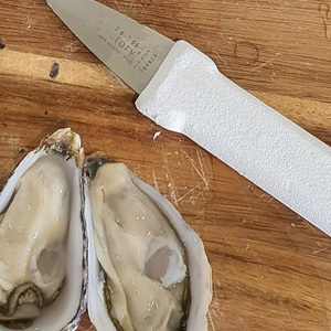 Products: Pro Oyster Shucking Knife
