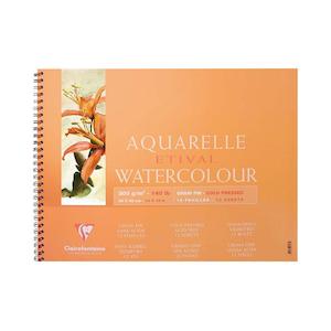 Art Pads: Clairefontaine Etival Cold Press Pad 36x48cm 300g 12sh