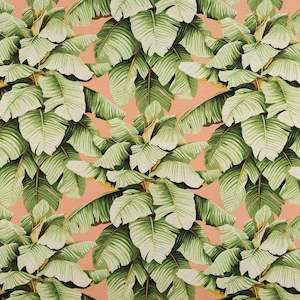 Specials: Peach Portadora