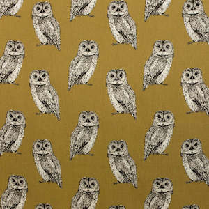 Specials: Champion Owl