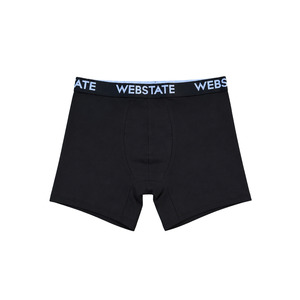 Webstate Knickers 3 Pack