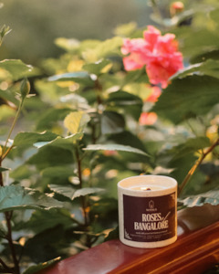 Masala Scents: Roses Of Bangalore