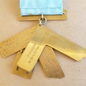 Craft Officer collar – plain – no jewel
