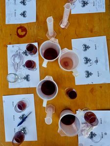 Products: Blend your own Pinot Noir - Matahiwi Estate