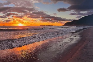 Products: Pauanui Sunrise