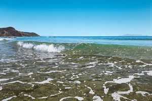 Products: Mangawhai Wave
