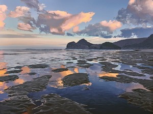 Products: Bethells Reflection