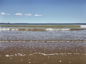Products: Long Bay