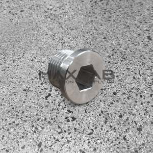 O2 Sensor Ports: M18 Blanking Plug
